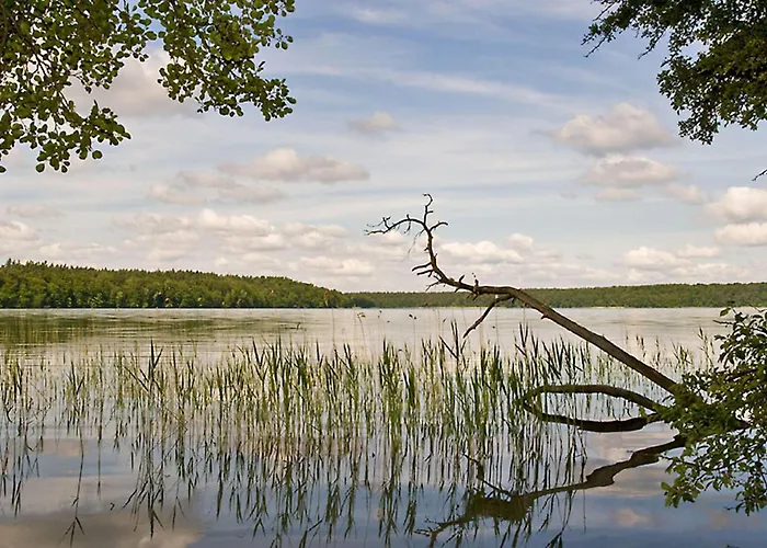 別荘 2 Bedroom Gorgeous In Stechlin